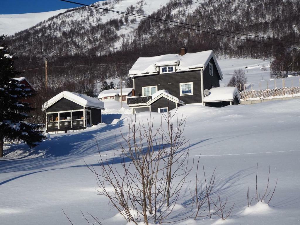 Apartment Between Ustaoset And Geilo Exteriör bild